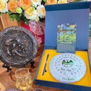 Trà Shan Tuyết cổ thụ Hà Giang - Lam Vân Trà