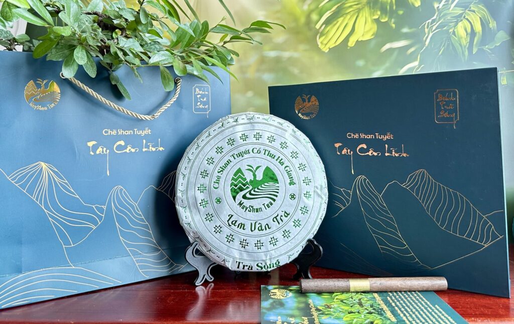 Trà Shan Tuyết cổ thụ Hà Giang - Lam Vân Trà