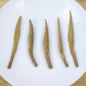 Bạch Trà Cổ Thụ Vân Nam