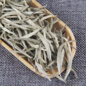 Bạch Trà Cổ Thụ Vân Nam