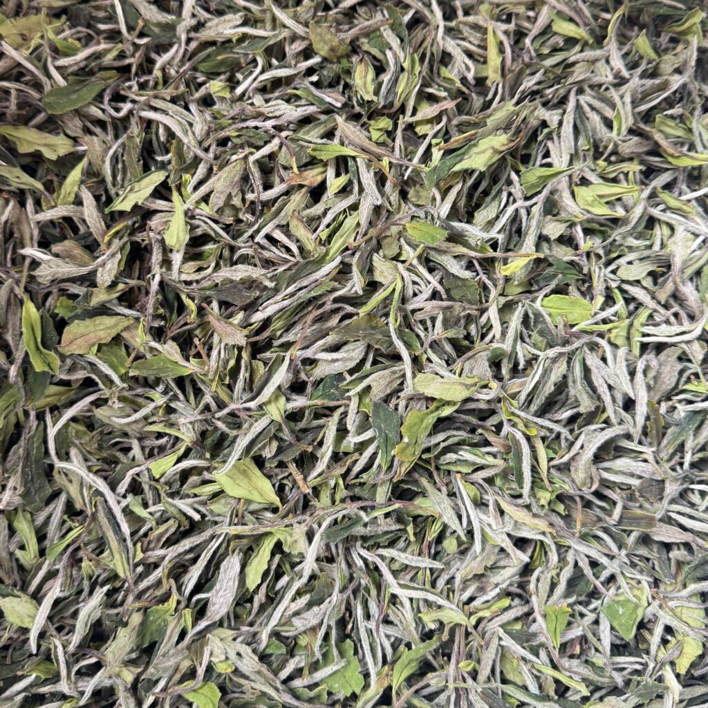 Vì sao Bạch Trà là dòng trà “sạch” và quý nhất trong các loại trà?