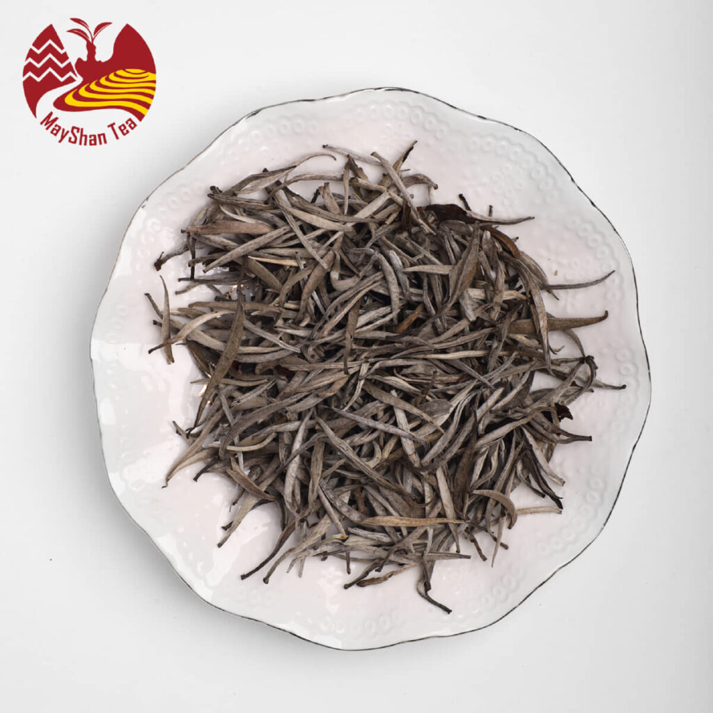 So sánh Bạch Trà và Lục Trà