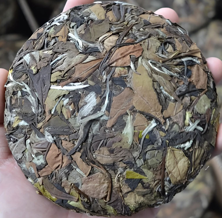 Trà Phổ Nhĩ Hà Giang