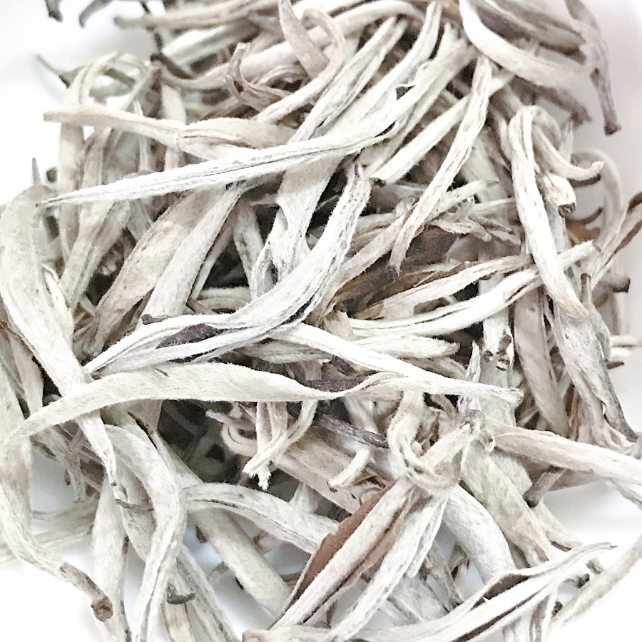 So sánh Bạch Trà và Lục Trà