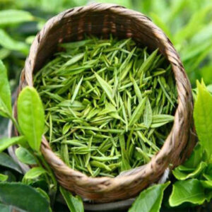 Trà Tôm Tuyển (Nõn Tôm) – Tinh hoa trà thượng hạng Tân Cương, Thái Nguyên