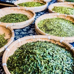 Trà Long Tỉnh Chiết Giang