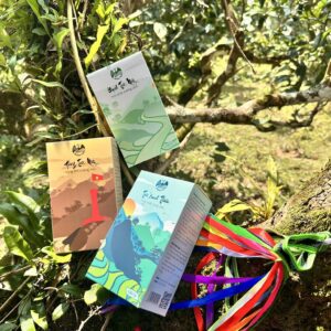 Hộp Quà Tặng Cao Cấp Tinh Vân Trà Cảnh – Bộ 3 Tuyệt Phẩm Trà Shan Tuyết