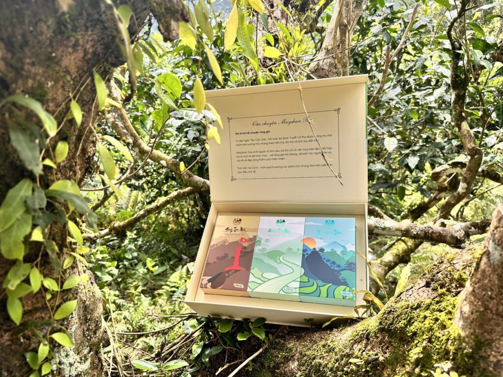 Hộp Quà Tặng Cao Cấp Tinh Vân Trà Cảnh – Bộ 3 Tuyệt Phẩm Trà Shan Tuyết