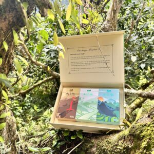 Hộp Quà Tặng Cao Cấp Tinh Vân Trà Cảnh – Bộ 3 Tuyệt Phẩm Trà Shan Tuyết