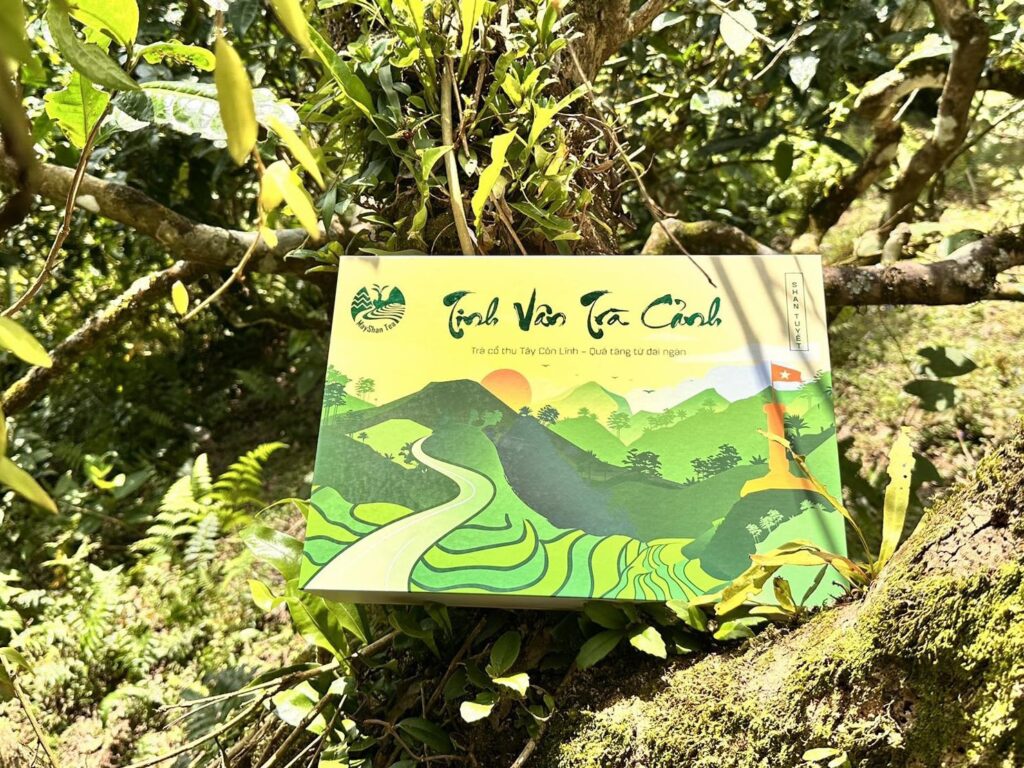 Hộp Quà Tặng Cao Cấp Tinh Vân Trà Cảnh – Bộ 3 Tuyệt Phẩm Trà Shan Tuyết