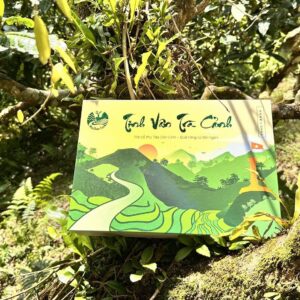 Hộp Quà Tặng Cao Cấp Tinh Vân Trà Cảnh – Bộ 3 Tuyệt Phẩm Trà Shan Tuyết