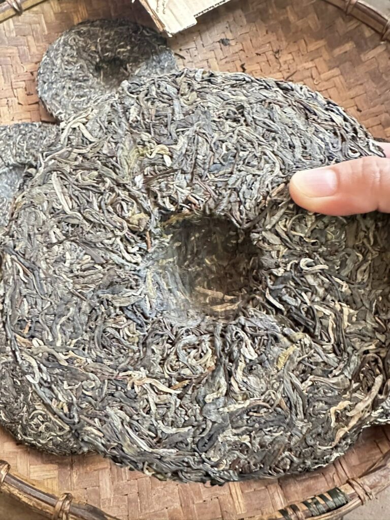 Trà Shan Tuyết cổ thụ Hà Giang - Lam Vân Trà