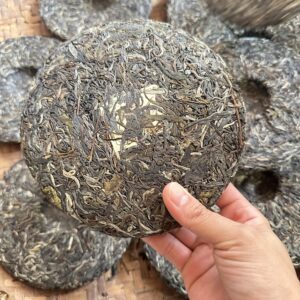 Trà Shan Tuyết cổ thụ Hà Giang - Lam Vân Trà