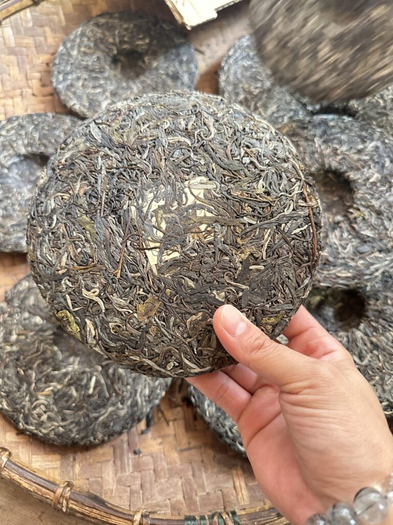 Trà Shan Tuyết cổ thụ Hà Giang - Lam Vân Trà