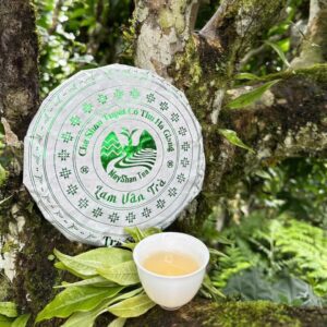 Trà Shan Tuyết cổ thụ Hà Giang - Lam Vân Trà