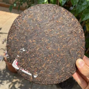 Phổ Nhĩ Chín Cung Đình 2006