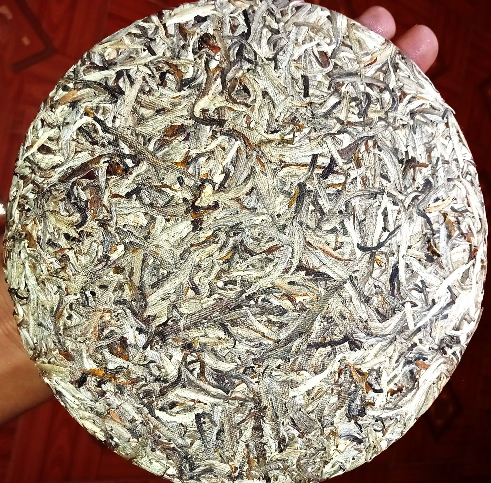 Bạch Trà Phổ Nhĩ Hà Giang