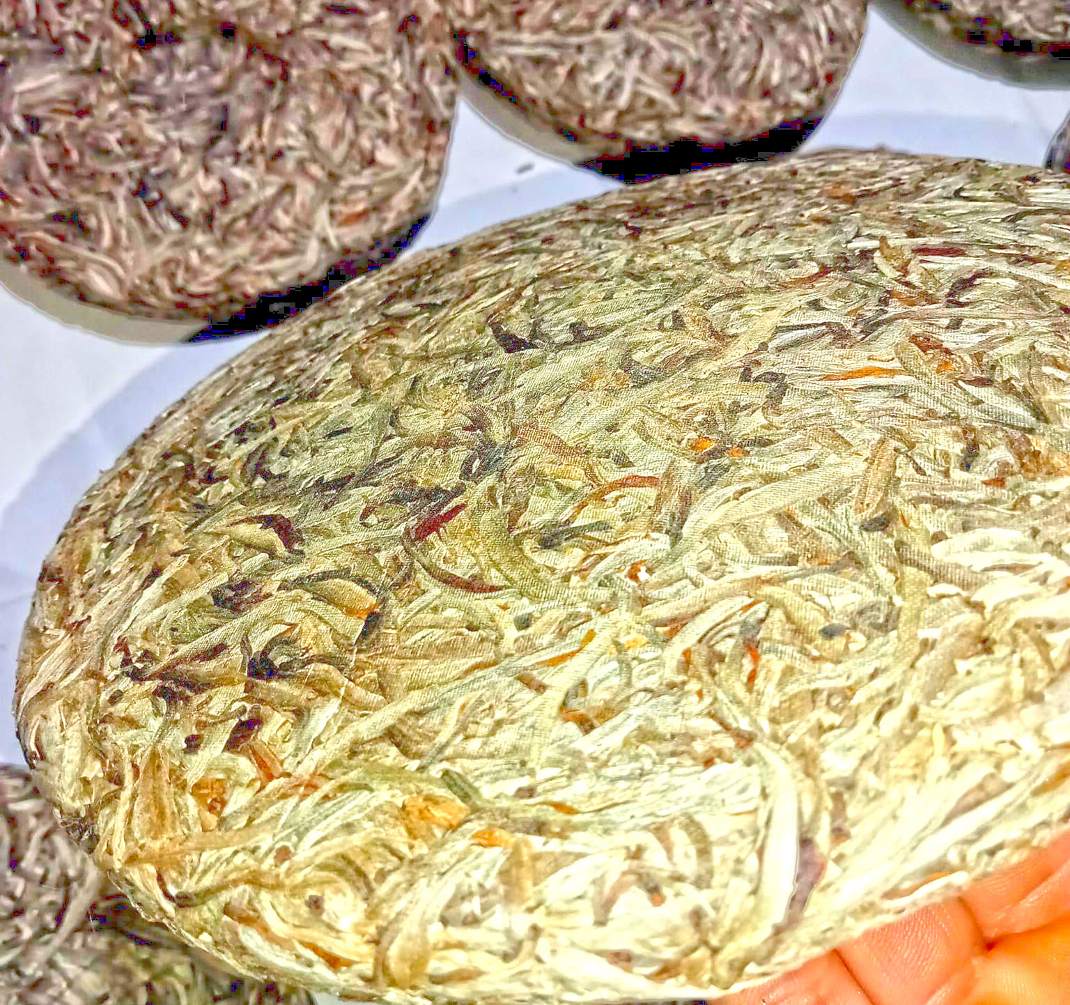 Bạch Trà Phổ Nhĩ Hà Giang