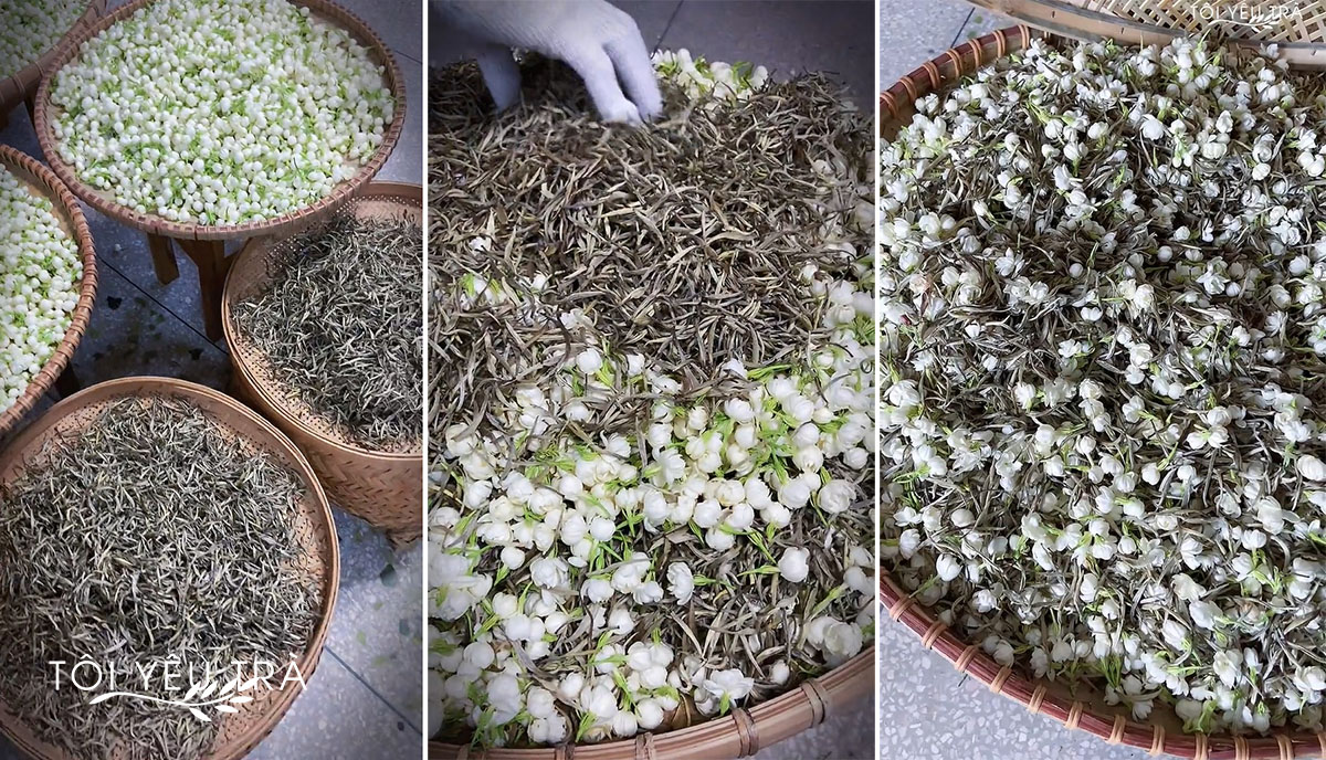 Trà Ướp Hoa Nhài Ngon