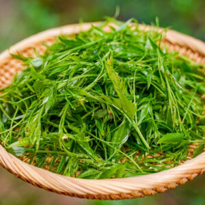 Trà Mâm Xôi Trương Gia Giới - Trà Râu Rồng