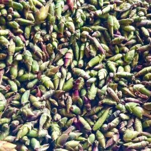 Trà Móng Rồng TÂY CÔN LĨNH