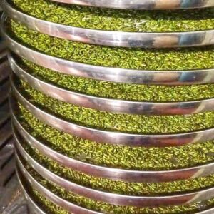 Trà Móng Rồng TÂY CÔN LĨNH