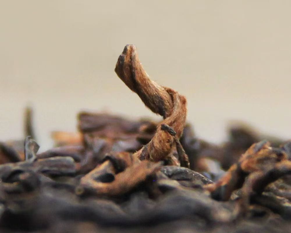 Trà Phổ Nhĩ Hương Nếp