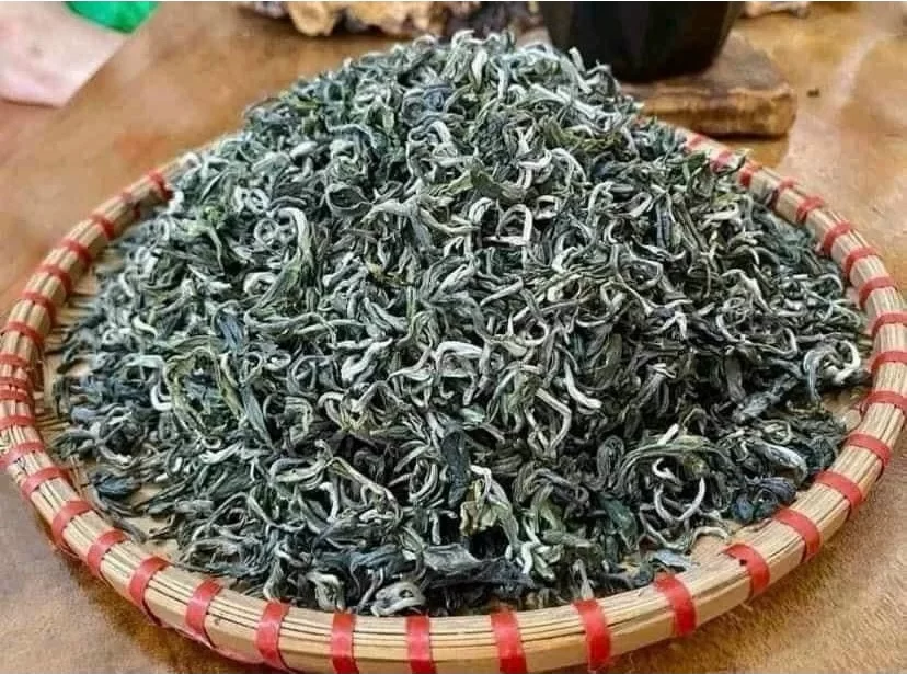 Trà Shan Tuyết Cổ Thụ Hà Giang