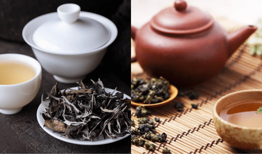 So Sánh Trà Ô Long Và Trà Shan Tuyết