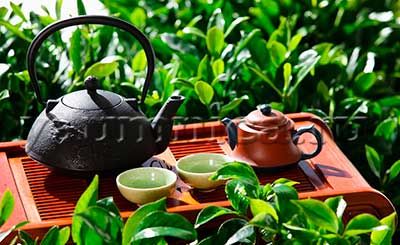 Hệ thống cửa hàng Tân Cương Xanh trên toàn quốc