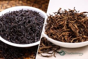 Hồng Trà và Trà Đen có phải là một không