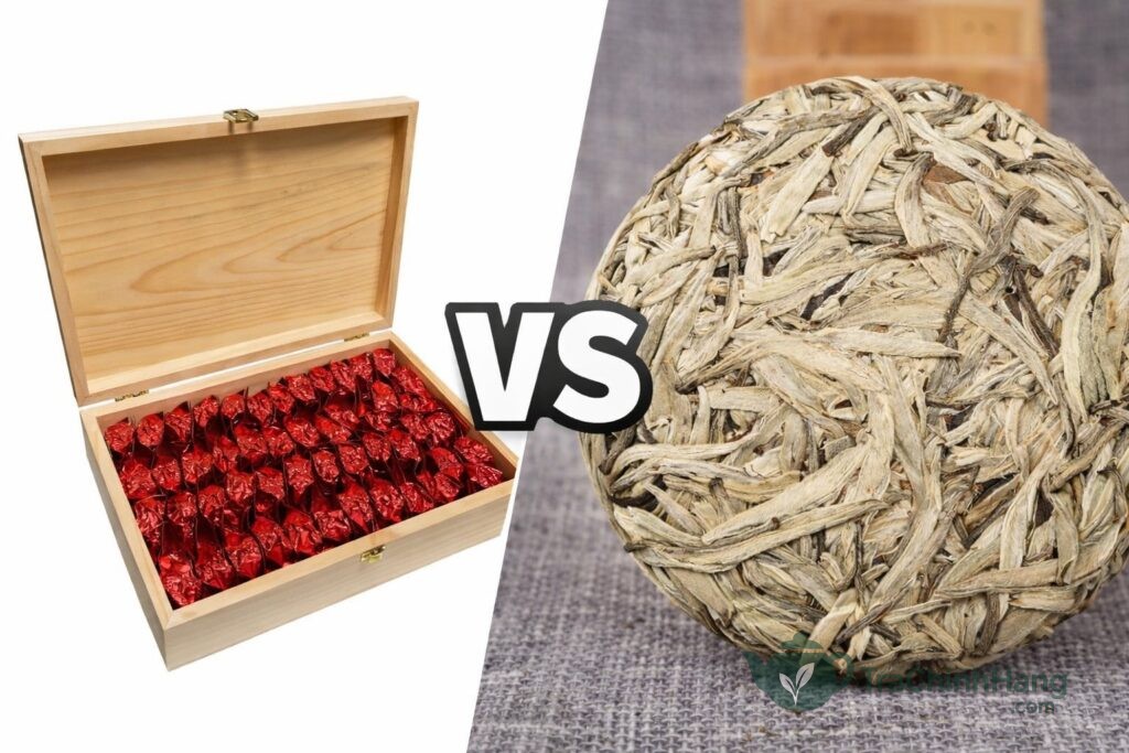 So sánh trà Shan Tuyết và trà Tân Cương biếu bố vợ