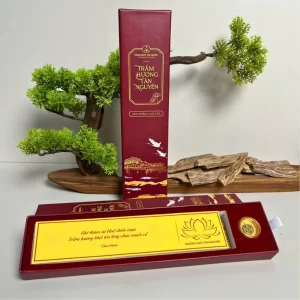 Nhang Trầm Hương Không Tăm Tân Nguyên (100 Que) - Hương Thiền Định Cao Cấp, Ít Khói Sạch