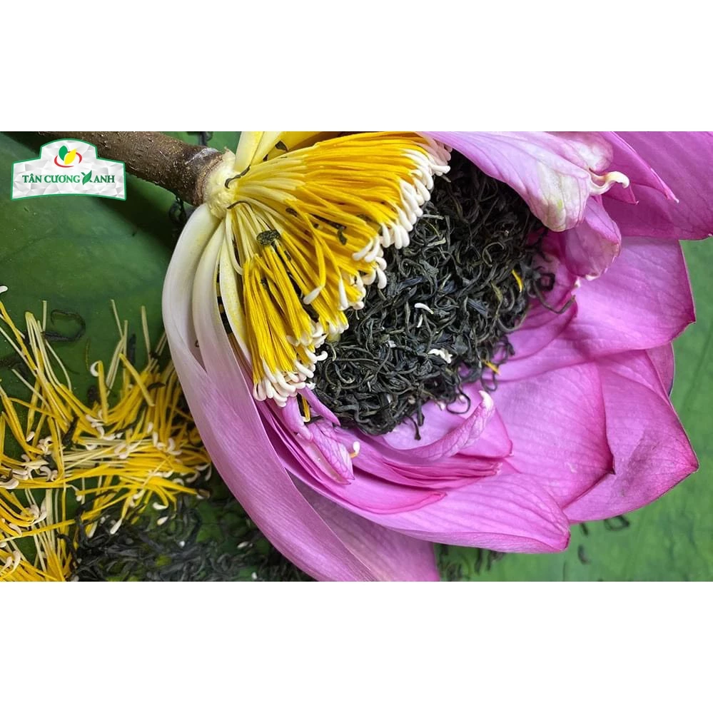 Bông sen sấy thăng hoa giữ nguyên hình dáng và hương thơm