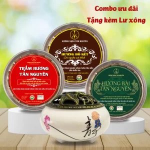 Combo 3 Hộp Nụ Trầm, Nụ Bài, Nụ Bồ Kết Tân Nguyên Tặng Lư Xông Gốm