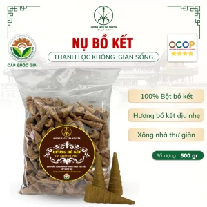 Nụ Bồ Kết Xông Nhà 500g (230 Nụ) Tẩy Uế, Đuổi Muỗi An Toàn - Tân Nguyên