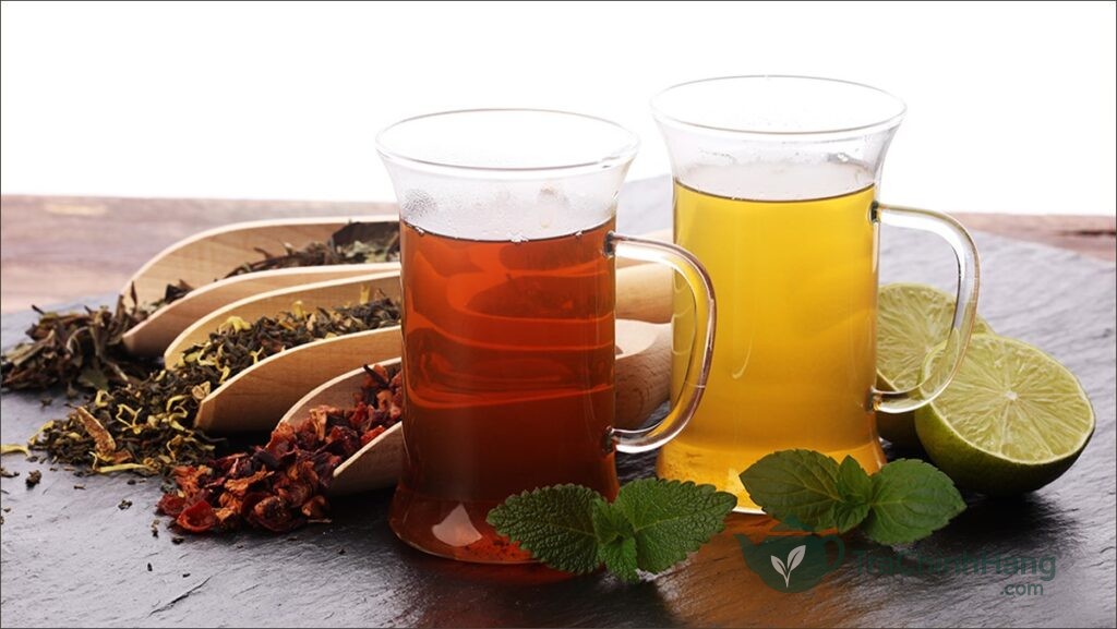 Hồng Trà Và Trà Xanh Khác Nhau Thế Nào
