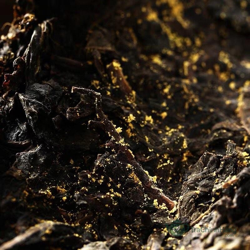 Trà Phổ Nhĩ có Kim Hoa cho nước trà ngọt dịu và hương nấm đặc trưng