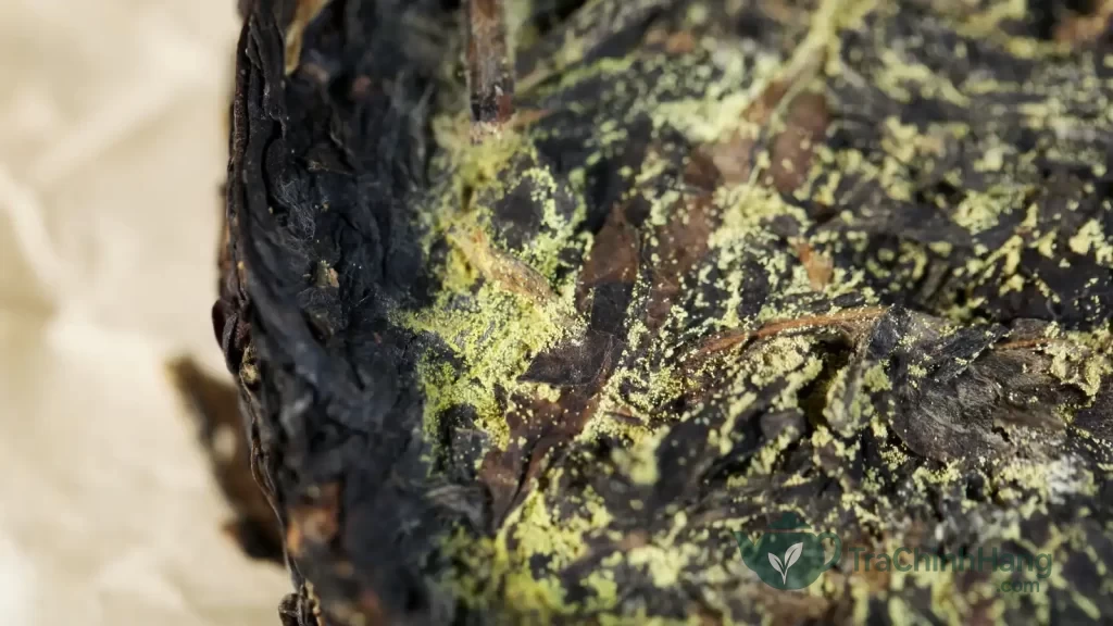 Trà Phổ Nhĩ có Kim Hoa cho nước trà ngọt dịu và hương nấm đặc trưng