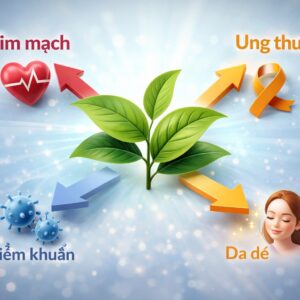 Hoạt chất EGCG là gì và cấu trúc hóa học của nó trong lá trà xanh