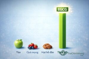 So sánh hàm lượng EGCG trong trà xanh và các loại trái cây hạt