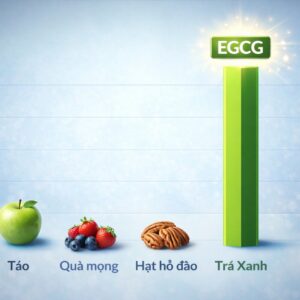 So sánh hàm lượng EGCG trong trà xanh và các loại trái cây hạt