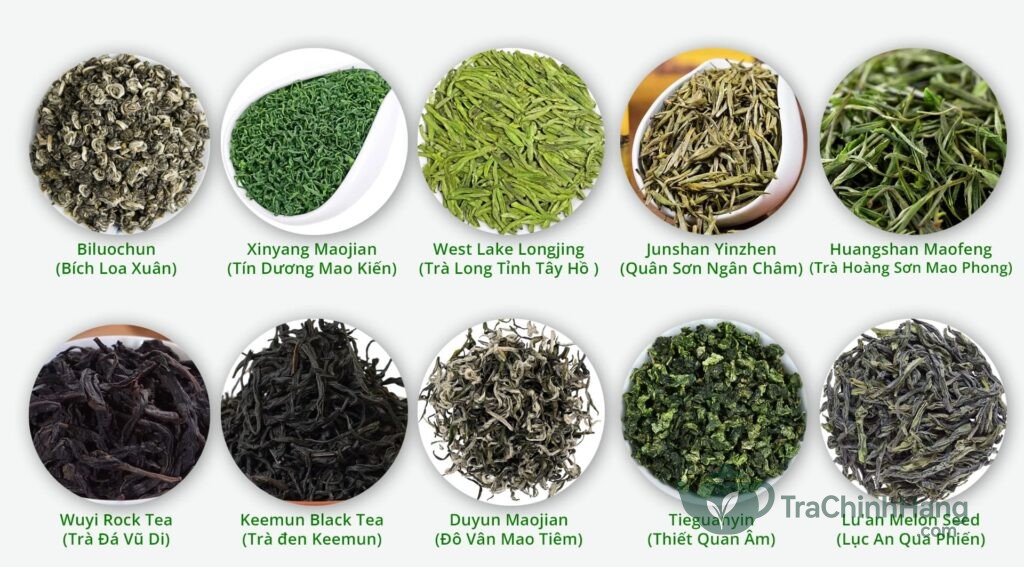 Các loại trà nổi tiếng Trung Quốc được bày trí theo phong cách trà đạo