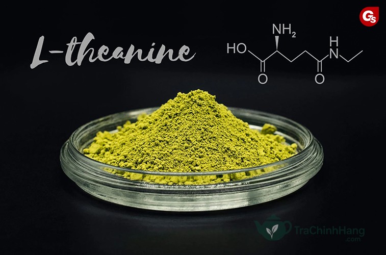 Hợp chất L-Theanine trong trà giúp làm dịu tác động của Cafein
