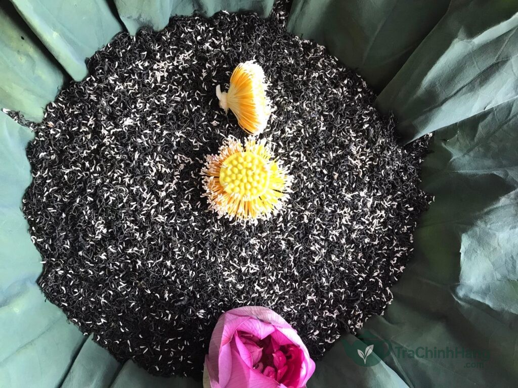 Trà sen Tây Hồ ướp gạo sen tự nhiên là món quà biếu thượng hạng