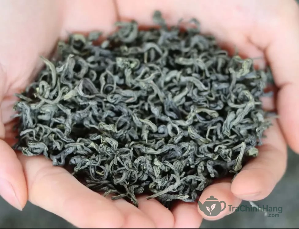 Mua trà xanh chính hãng ngon ở đâu uy tín nhất