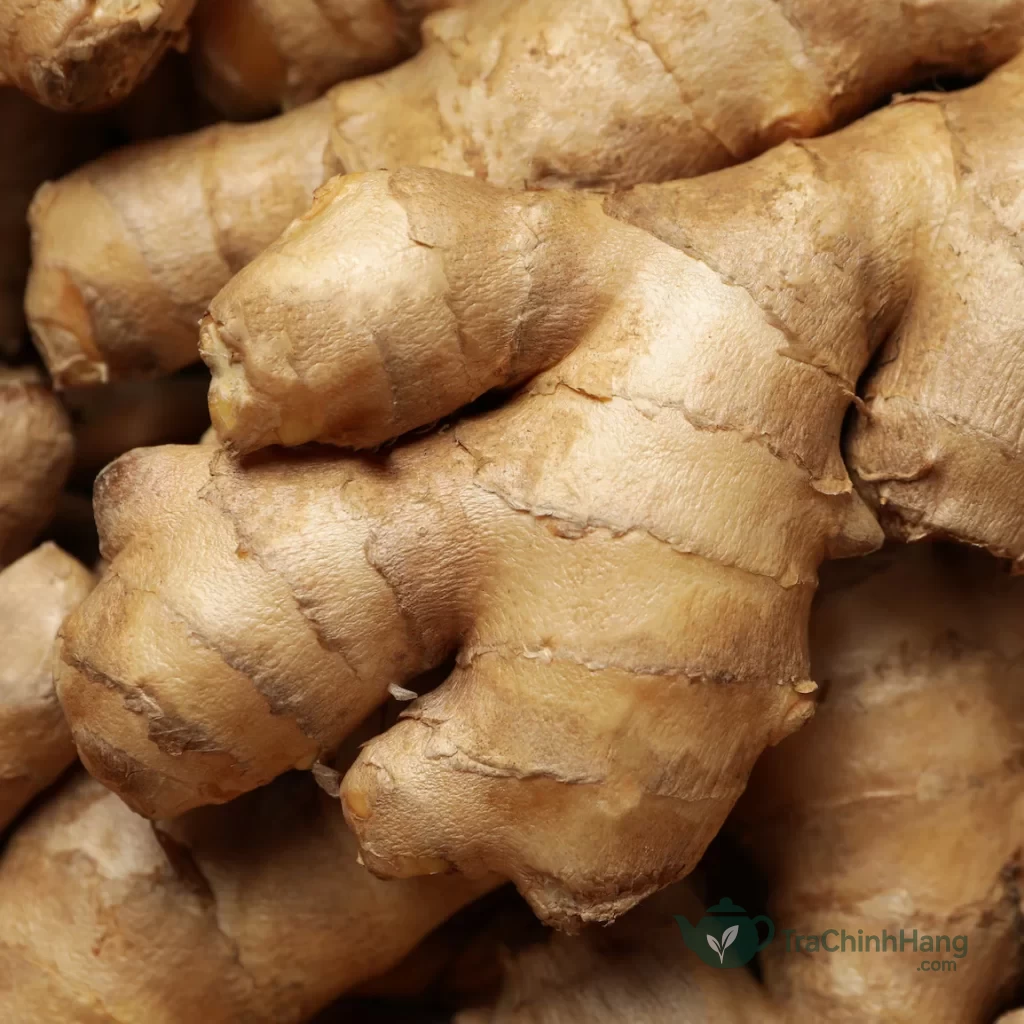 Củ gừng tươi chứa nhiều Gingerol giúp kháng viêm và tăng đề kháng