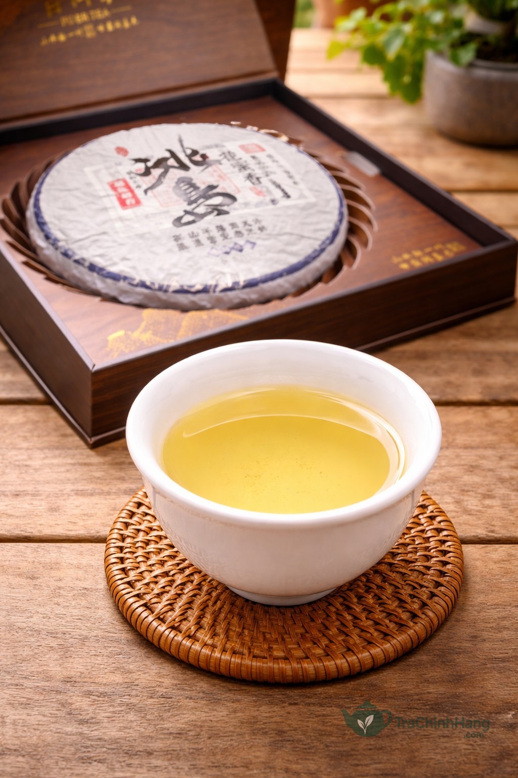 Pha trà phổ nhĩ sống băng đảo lão trại nước vàng sáng